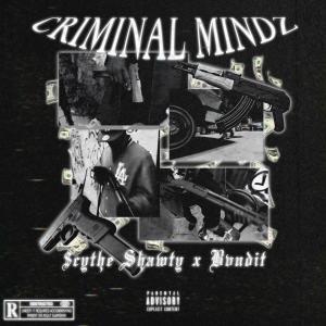 CRIMINAL MINDZ (Explicit)