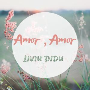 Listen to Amor amor song with lyrics from Liviu Didu