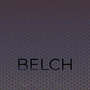 Various Artists的專輯Belch Guinn