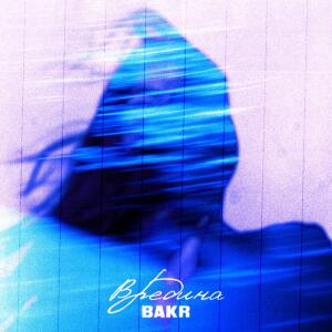 Album Вредина from Bakr