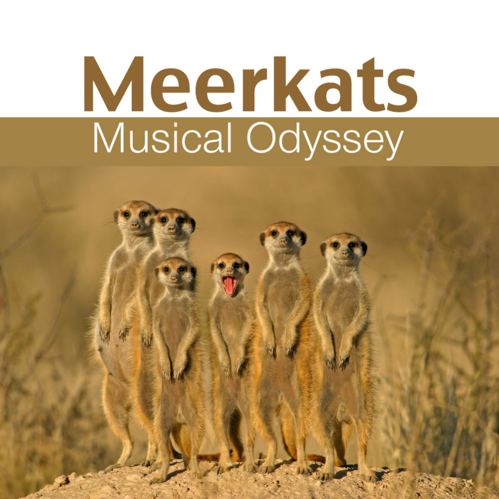 Congo Lullaby (Meerkat Mix)