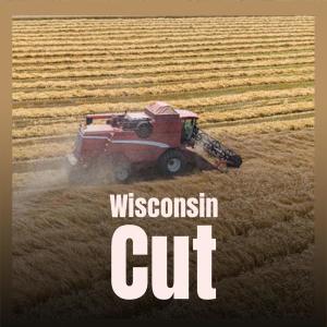 Various的专辑Wisconsin Cut