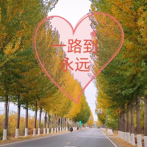 Listen to 一路到永远 (伴奏) song with lyrics from 潘国兴