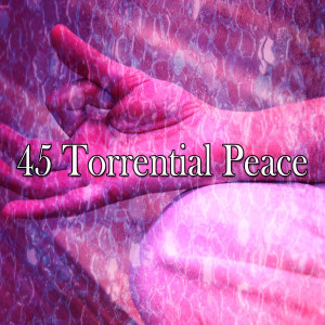 收聽Japanese Relaxation and Meditation的The Flame Inside歌詞歌曲
