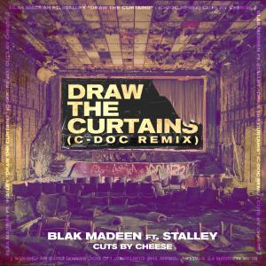 อัลบัม Draw The Curtains (feat. Stalley) [C-Doc Remix] ศิลปิน Blak Madeen