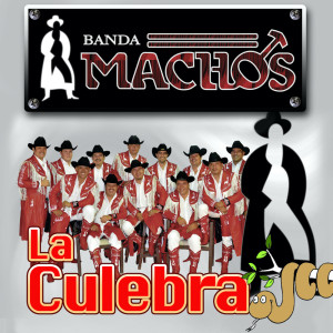 Banda Machos的專輯La Culebra
