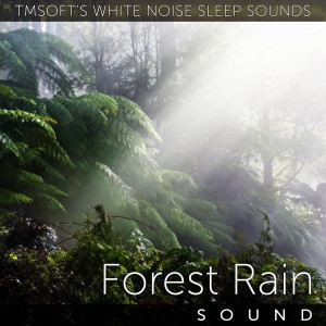 Listen to Forest Rain Sound song with lyrics from Tmsoft's White Noise Sleep Sounds
