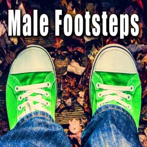 收聽Sound Ideas的Male Sneakers Walking on Wood Deck (完整版)歌詞歌曲