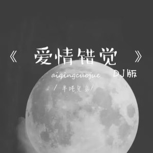 收聽半噸兄弟的愛情錯覺 (DJ版)歌詞歌曲