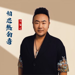 馮海龍的專輯相思熬的毒-DJ阿能版