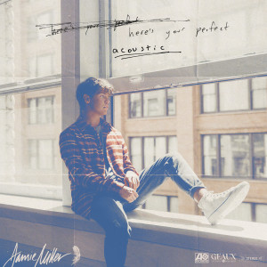 ดาวน์โหลดและฟังเพลง Here's Your Perfect (Acoustic) พร้อมเนื้อเพลงจาก Jamie Miller