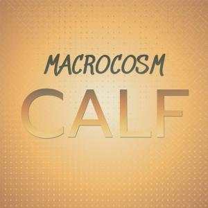 Various Artists的專輯Macrocosm Calf