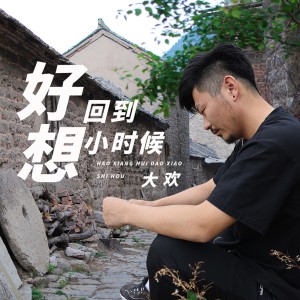 Listen to 好想回到小时候 song with lyrics from 大欢