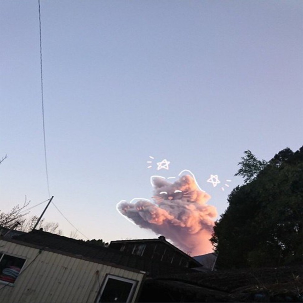 E.S