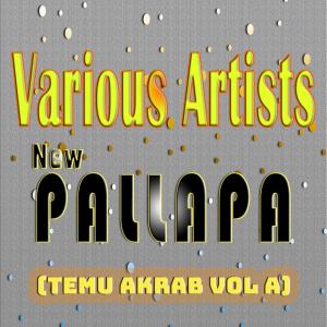 อัลบัม New Pallapa (Temu Akrab, Vol. A) ศิลปิน 