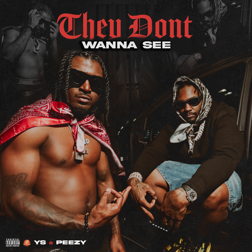 They Don't Wanna See (Explicit)