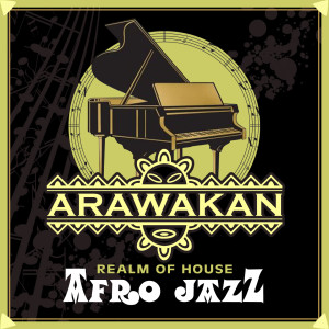 Album Afro Jazz (Put Your Hands Up) from Realm of House