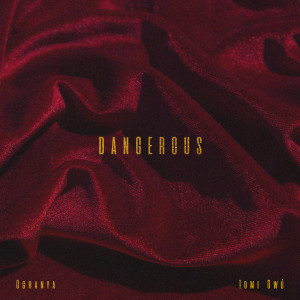 Ogranya的專輯Dangerous