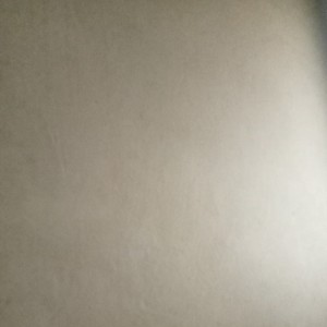 收聽Fiola的Bersemi kembali bungaku歌詞歌曲
