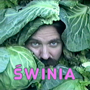 Listen to Świnia song with lyrics from Rat Kru