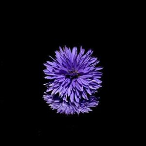 收聽龍澤雨的前世今生 (伴奏)歌詞歌曲