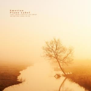 Album Playing the Pain of Love (Healing Piano Collection) from Various Artists
