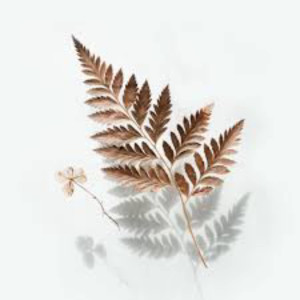 ดาวน์โหลดและฟังเพลง Wow พร้อมเนื้อเพลงจาก DjSunnyMega