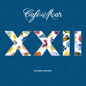 Cafe Del Mar的專輯Café del Mar, Vol. 22