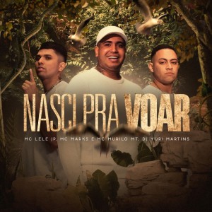 Listen to Nasci pra Voar song with lyrics from DJ Yuri Martins
