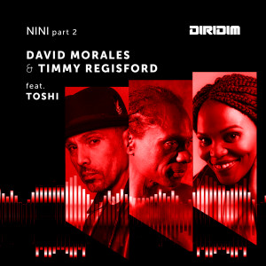 ดาวน์โหลดและฟังเพลง Nini, Pt. 2 (Red Zone Instrumental Mix) พร้อมเนื้อเพลงจาก David Morales