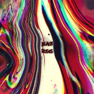 ดาวน์โหลดและฟังเพลง Black Roses (Explicit) พร้อมเนื้อเพลงจาก 999RAH