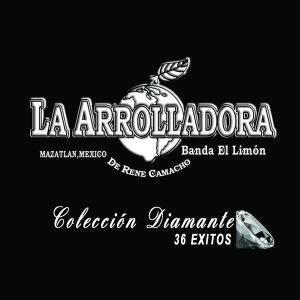 收聽La Arrolladora Banda El Limon的Zancudo Boludo歌詞歌曲