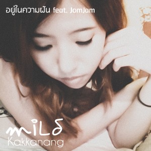 Listen to อยู่ในความฝัน song with lyrics from miLD Kakkanang