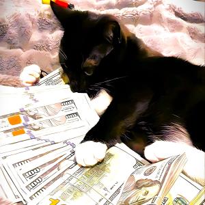 ดาวน์โหลดและฟังเพลง Mop (feat. Misovo) (Explicit) พร้อมเนื้อเพลงจาก ZoeW