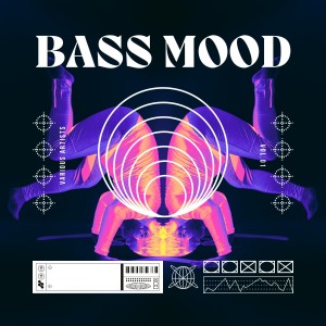 Album Bass Mood, Vol. 1 (Explicit) oleh Various