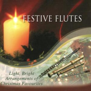 ดาวน์โหลดและฟังเพลง My Grown-Up Christmas List พร้อมเนื้อเพลงจาก The Paul Goldheart Band