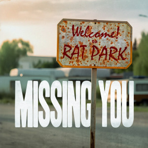 Listen to Missing You (Explicit) song with lyrics from Vaines
