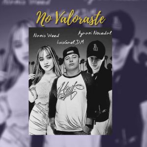 收聽LuisGael DM的No Valoraste歌詞歌曲