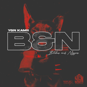 YGN KAMII的专辑B&N (Bitches & Niggas) (Explicit)