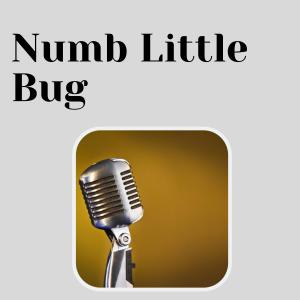 Album Numb Little Bug from Various