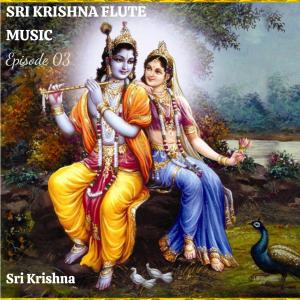 Sri Krishna的专辑Sri Krishna Flute Music | EP 03