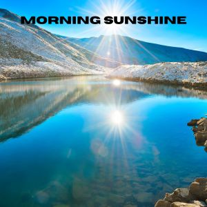 อัลบัม Morning Sunshine ศิลปิน The White Noise Zen & Meditation Sound Lab