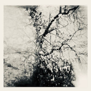 อัลบัม คอยดู (Waiting To See You) - Single ศิลปิน แดเนียล ดิษยะศริน