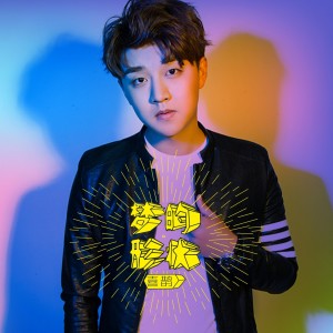 Dengarkan lagu 梦的形状 (DJ版) nyanyian 喜鹊 dengan lirik