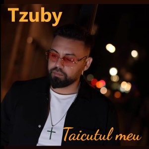 Listen to Taicutul meu song with lyrics from Tzuby