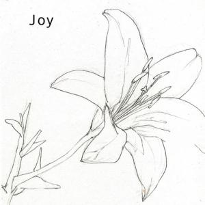 JOY（澳大利亞）的專輯Joy