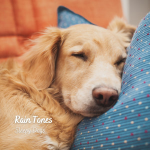 Album Rain Tones: Sleepy Dogs from Music For Dogs