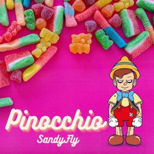 Album Pinocchio (SandyFly Extended Version) from SandyFly