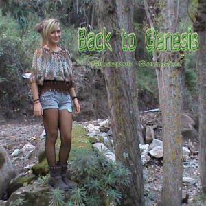 Listen to The Tree Implantation (The Tree Implantation) song with lyrics from Giuseppe Germanò