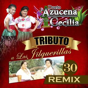 Album Tributo a las Jilguerillas (30 Remix) from 